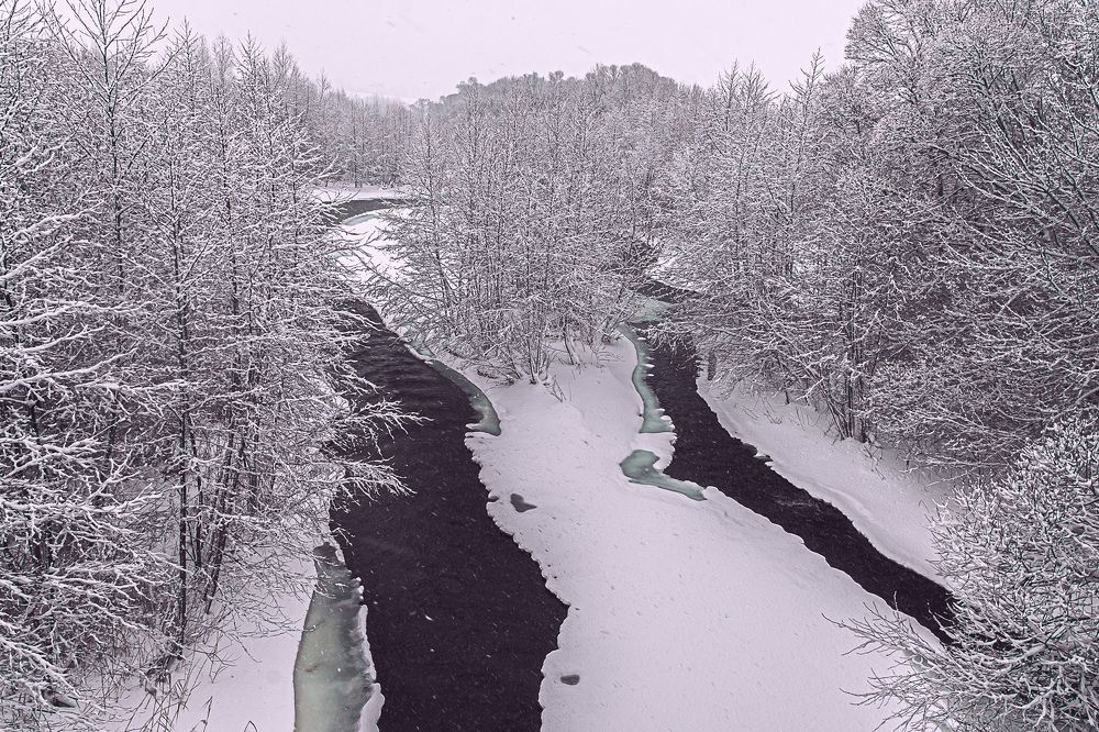 Фотография автора Николай Бологов