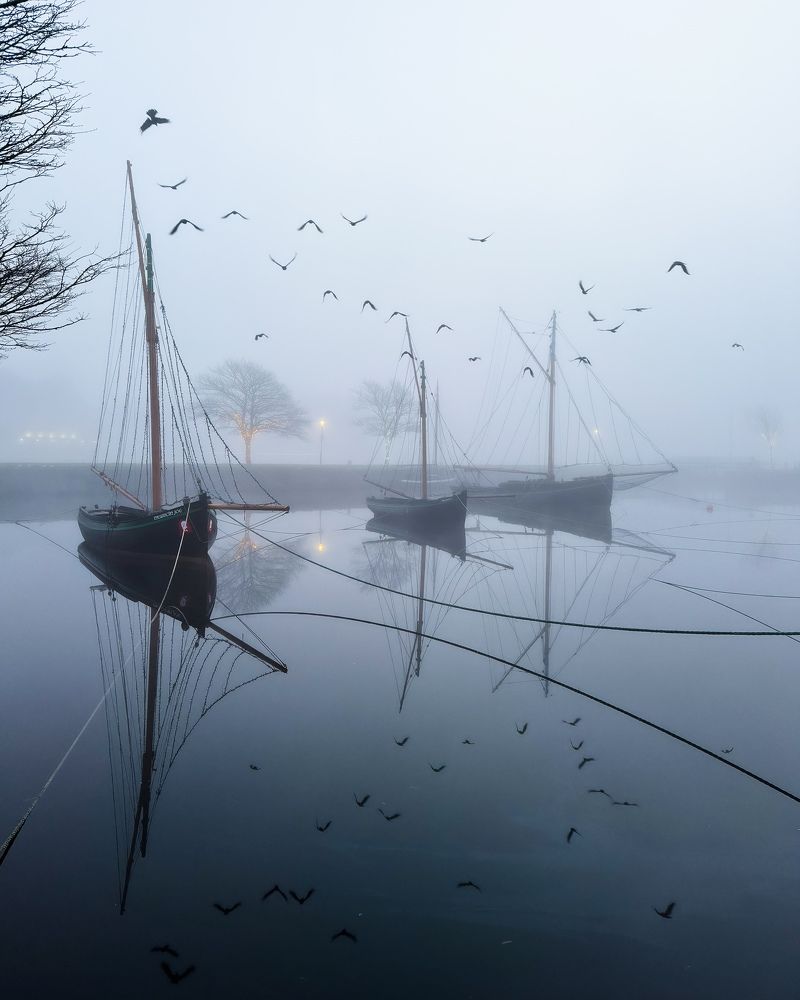 Morning Fog at Claddagh Basin