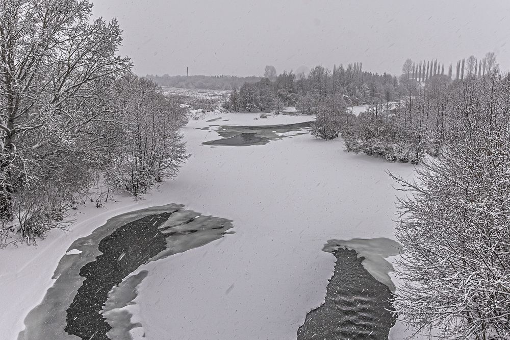 Фотография автора Николай Бологов
