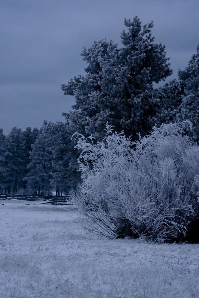 Photograph by Ирина Петракович