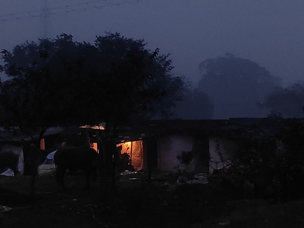 Фотография автора Santanu Dasgupta