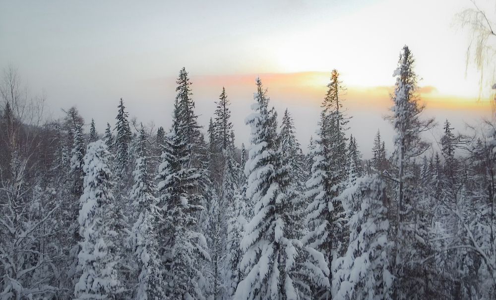 Photograph by Андрей Фадеев