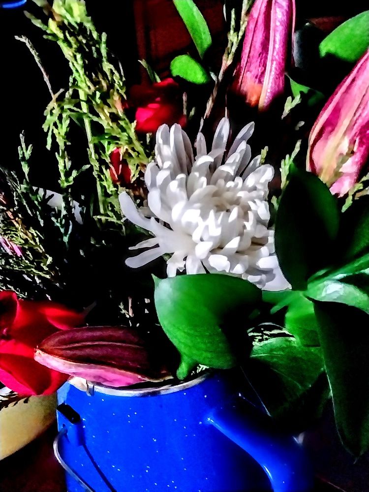 Photograph by Paul Walker