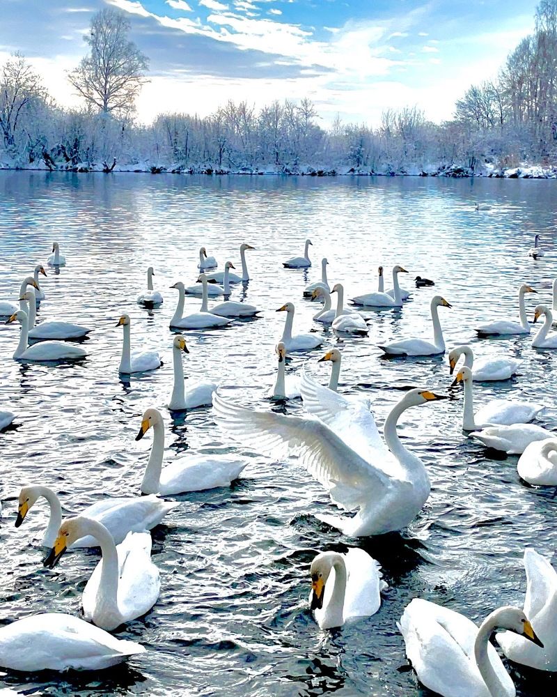 Photograph by Елена Моор