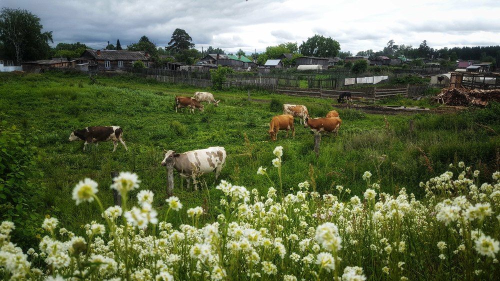 Photograph by Митюшкова Алёна