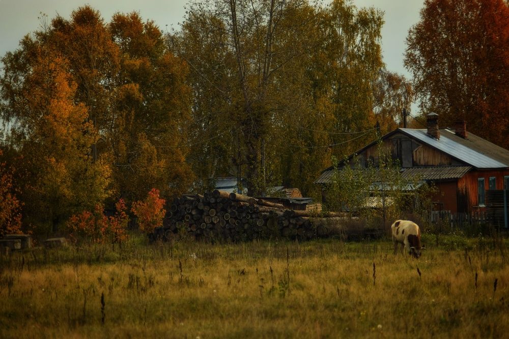 Photograph by Митюшкова Алёна