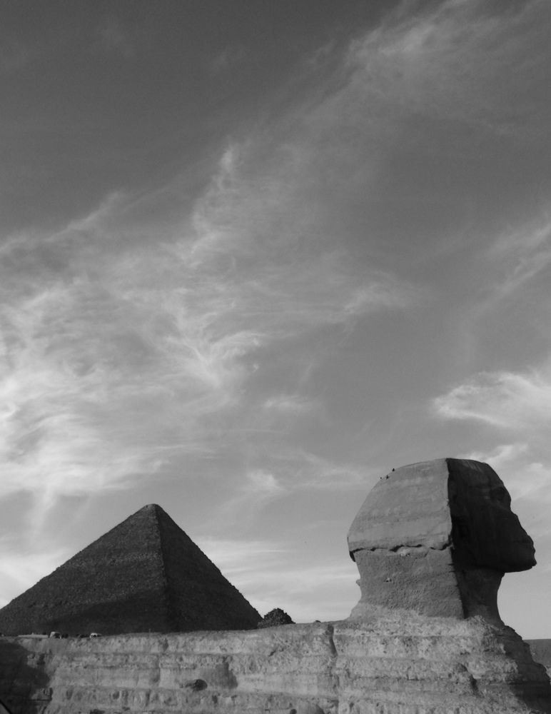 Photograph by Reem Abo eissa