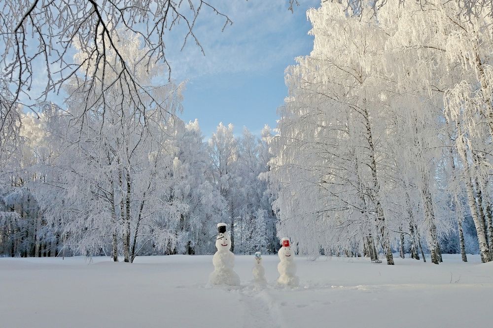 Photograph by виктор Решетников