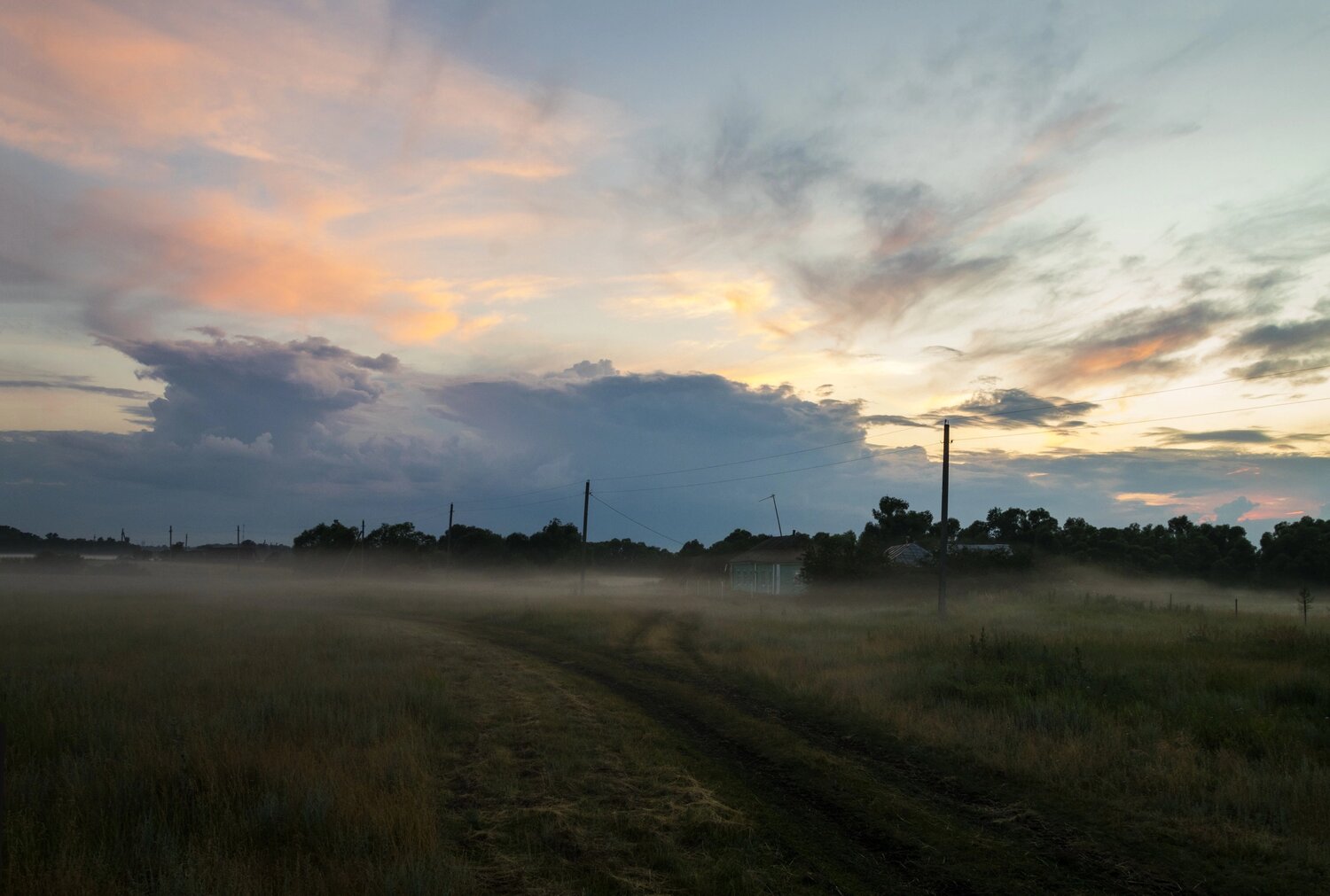 Photo #10136844