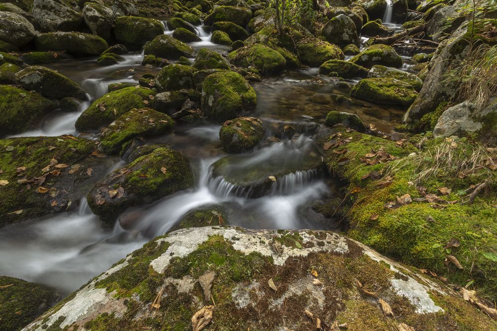 Photograph by ALEKSANDR KUZNETSOV