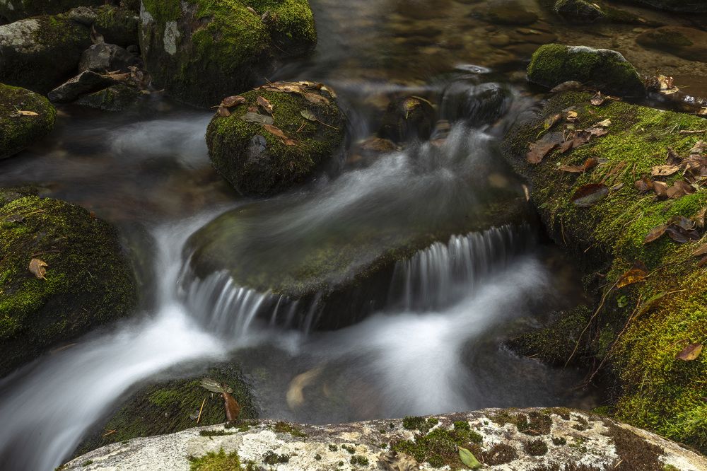 Photograph by ALEKSANDR KUZNETSOV