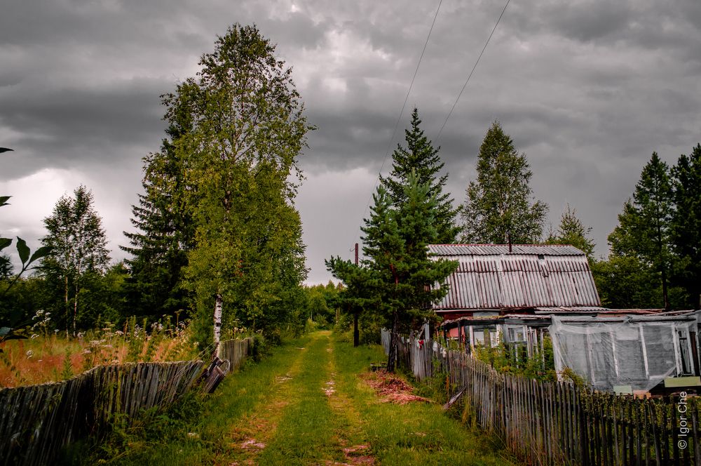 Photograph by Игорь Черемных