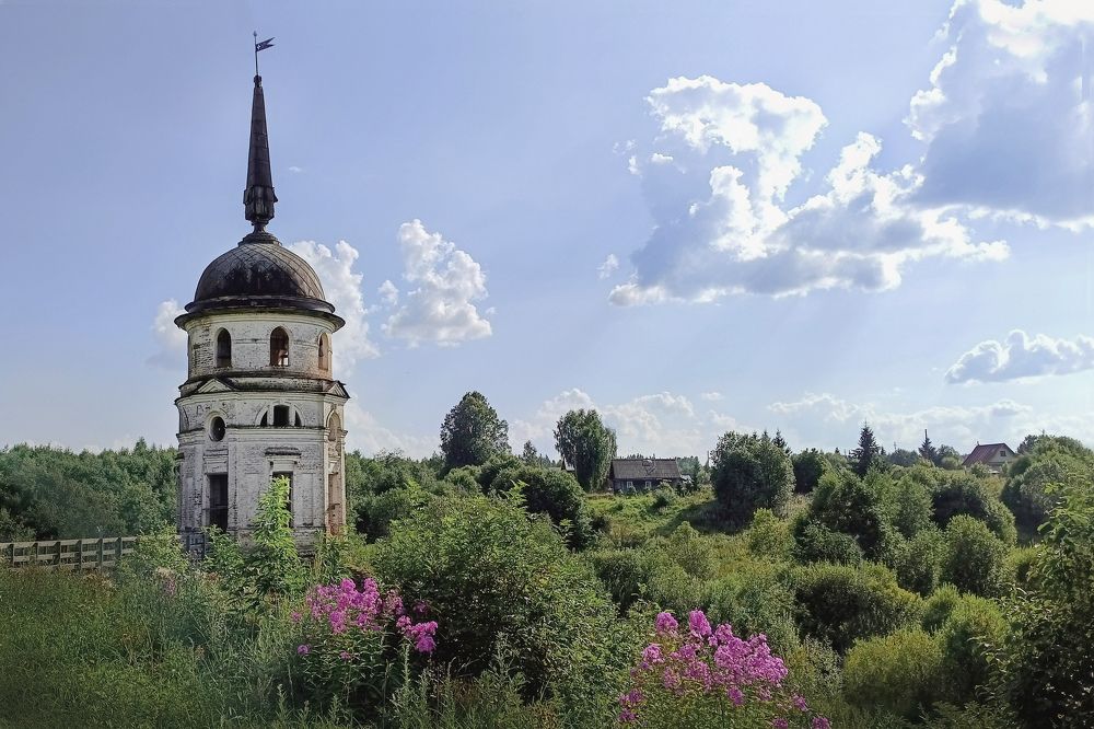 Фотография автора Larisa Meshkova