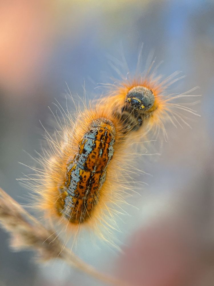 Photograph by Tatiana Grinko