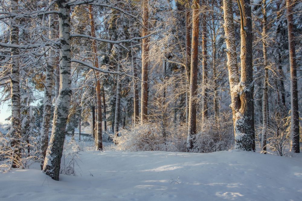 Photograph by Дмитрий Алексеев