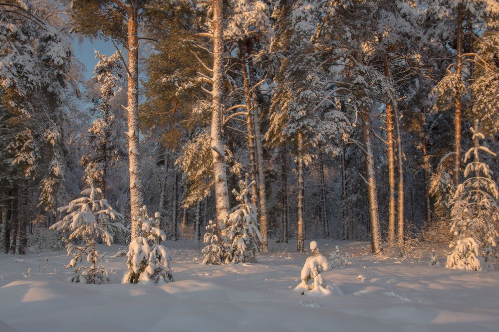 Photograph by Дмитрий Алексеев