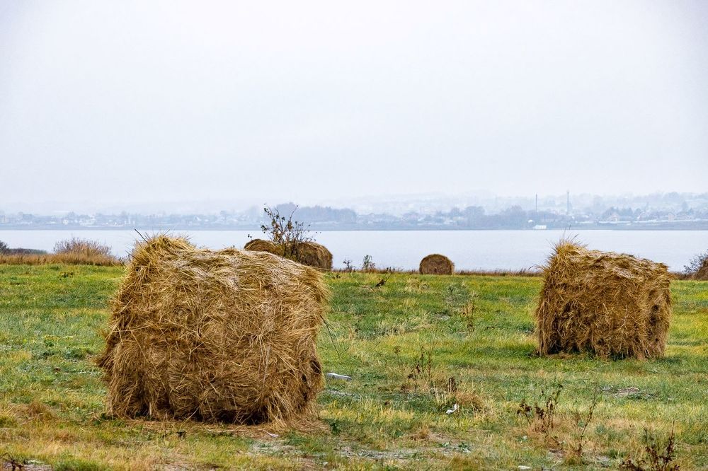 Photograph by Кермен Манджиева