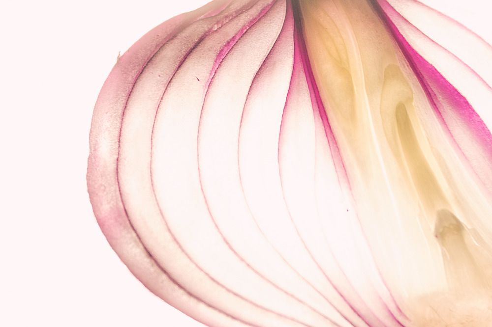 Photograph by Sophie Zhemchuzhnikova