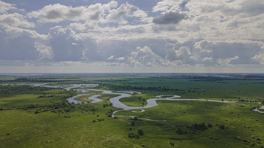 Photograph by Ольга Левакова