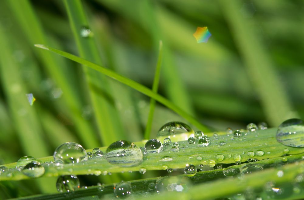 Photograph by Ольга Гоглова