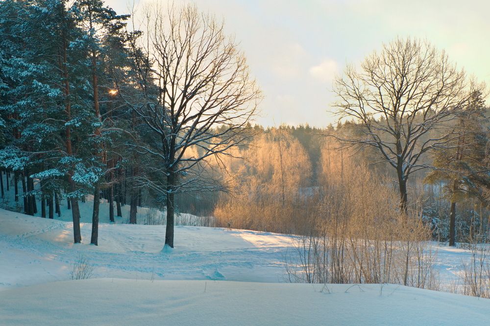 Photograph by Виктор Гурков