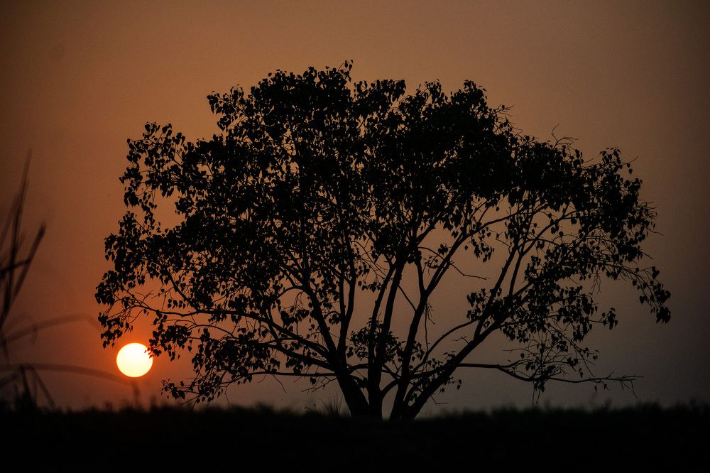 Photograph by Saikat Hazra