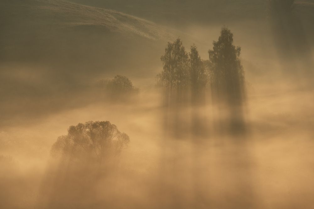 Photograph by Политова Анна