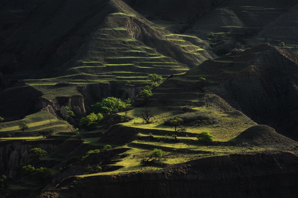 Photograph by Политова Анна