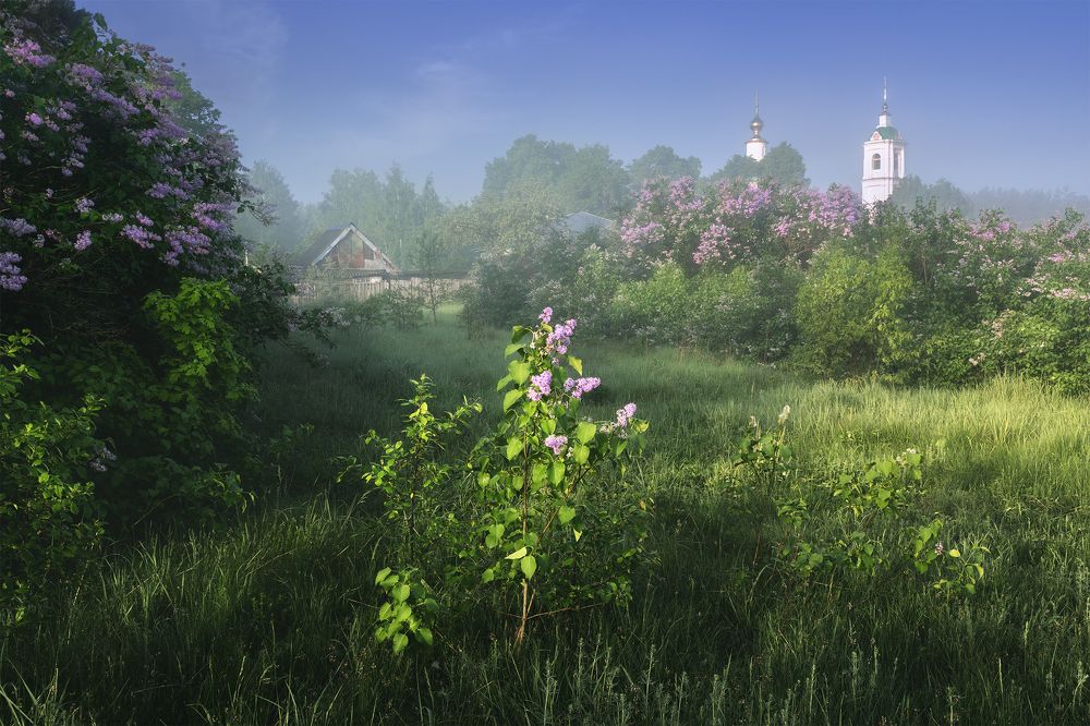 Photograph by Политова Анна