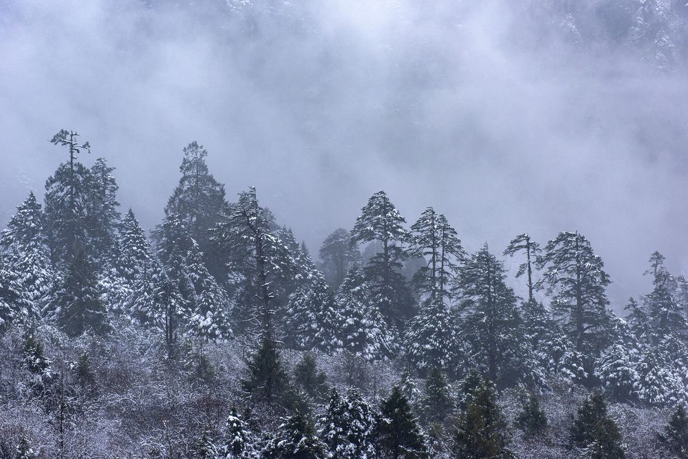 Фотография автора Md Zakir Hossain