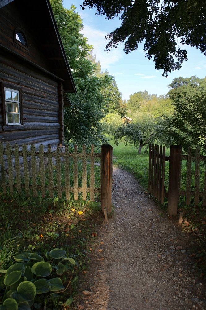 Photograph by Ольга Одаренко