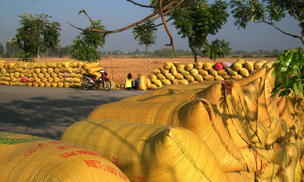Photograph by HIEU LIEM DO