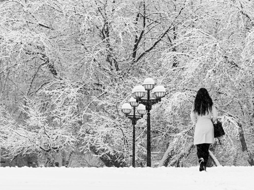 Photograph by Dmitri Izosimov