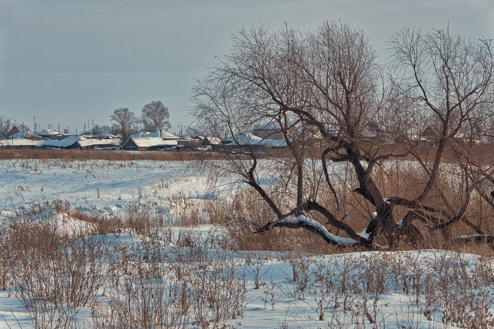 Photograph by Dmitri Izosimov