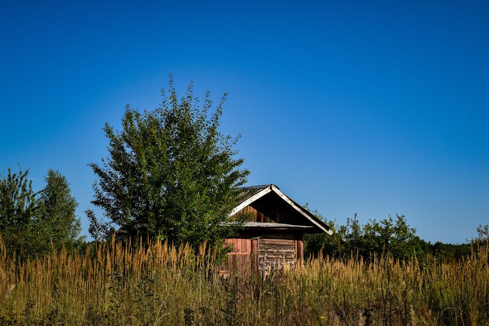 Фотография автора Ксения Вабищевич
