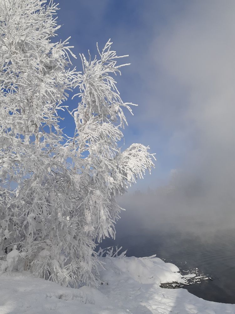 Photo #10137771