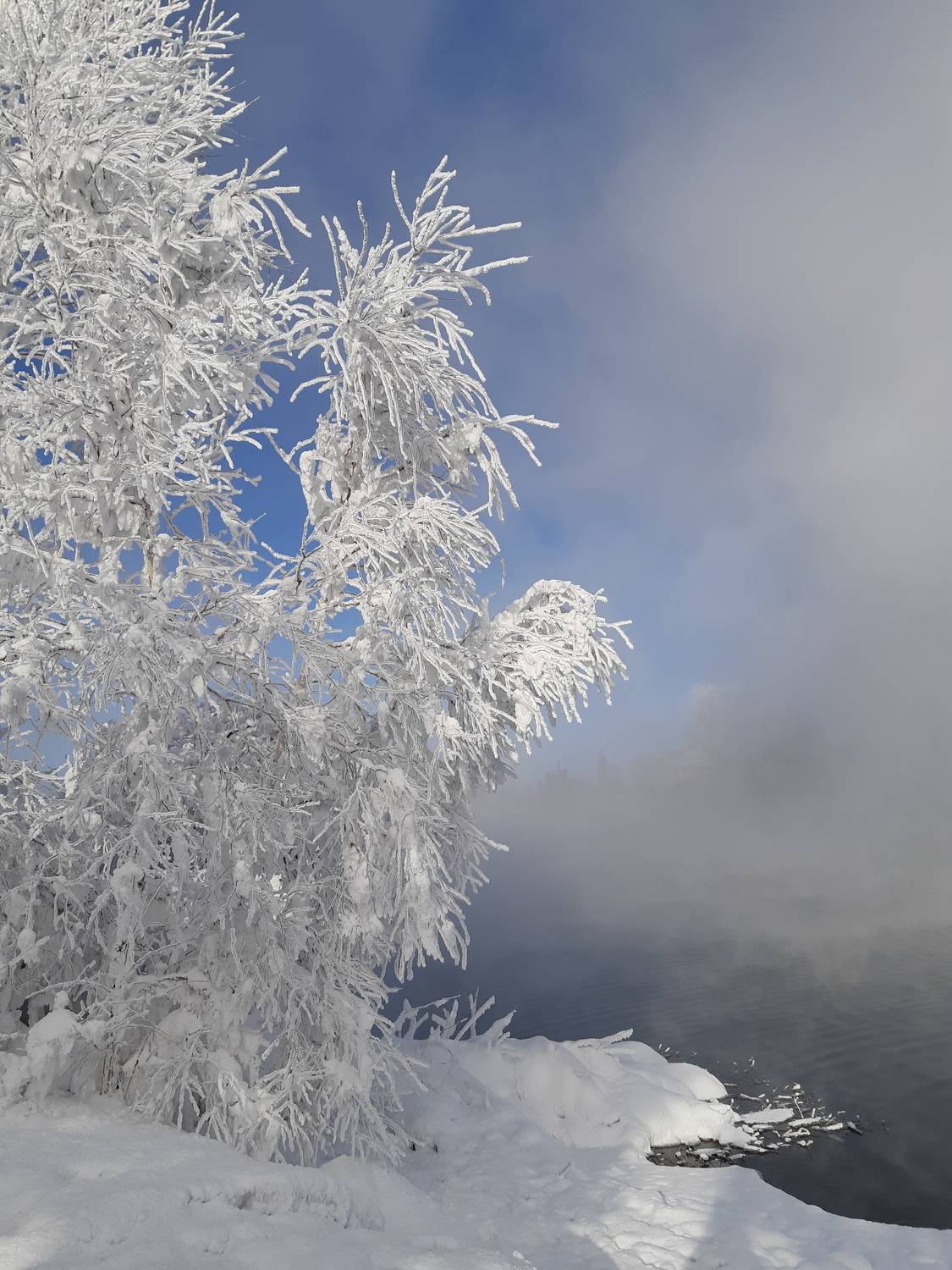 Photo #10137771