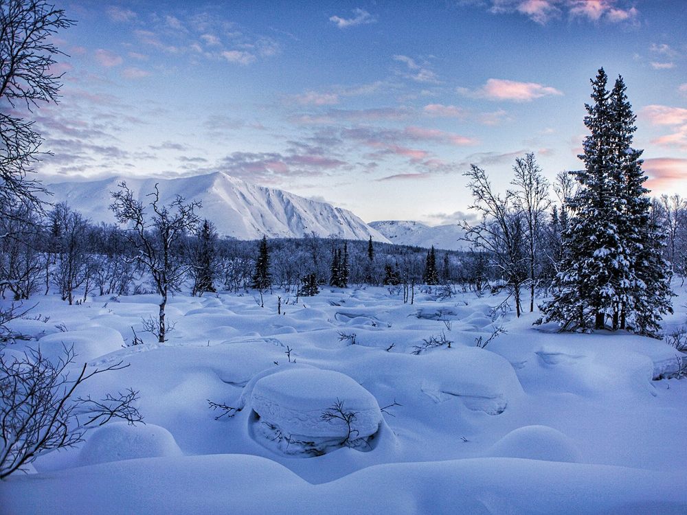 Фотография автора Ольга Сорокина
