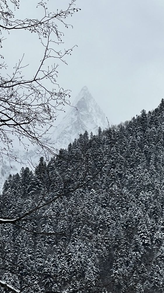 Фотография автора Юлия Недосекина