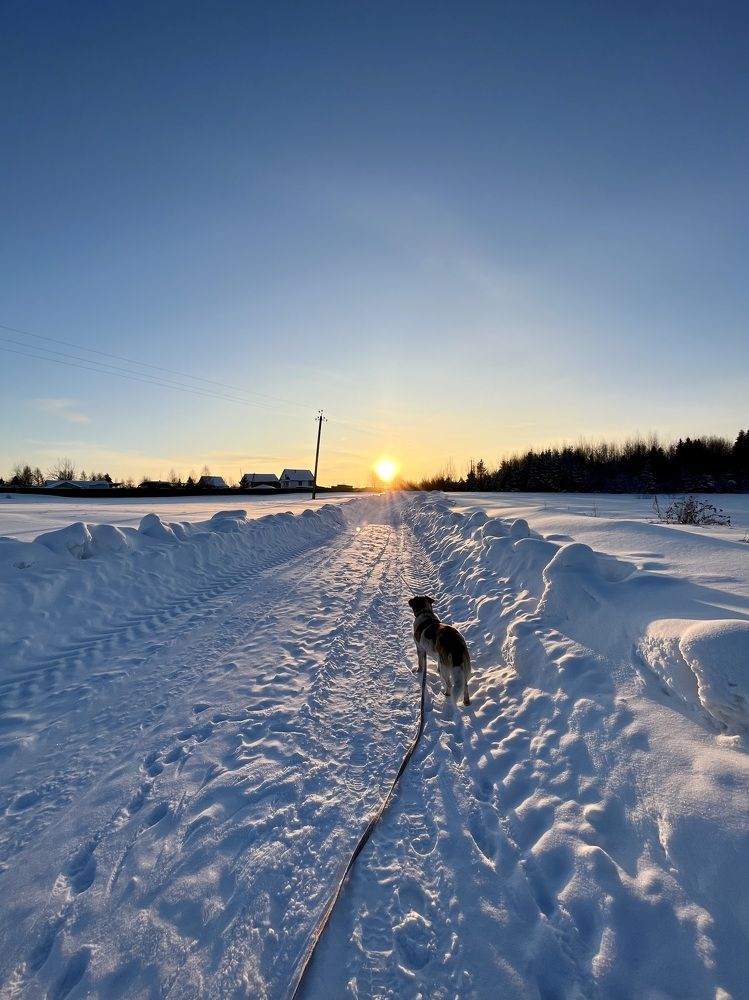 Photograph by Ирина