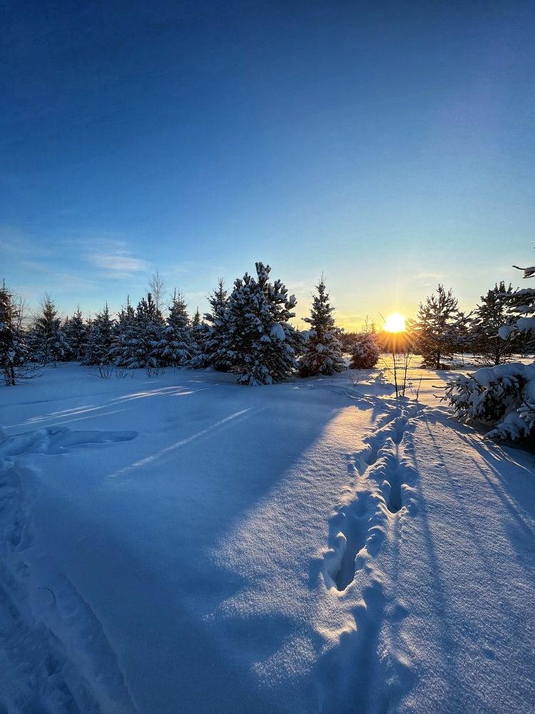 Следы на снегу