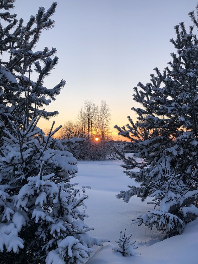 Photograph by Ирина