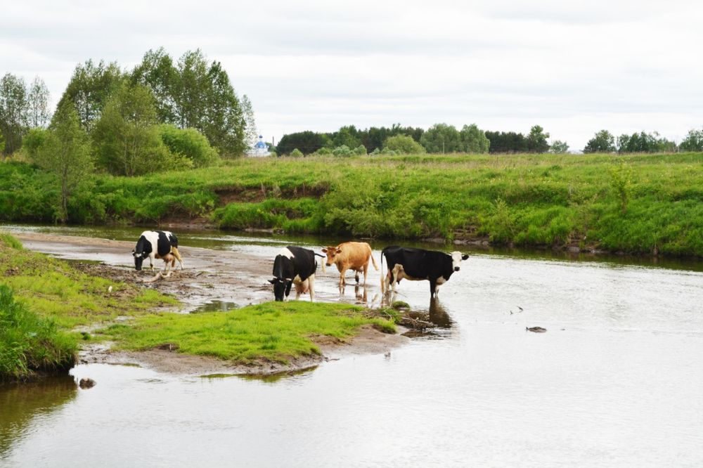 Photograph by Ксения Лебедева