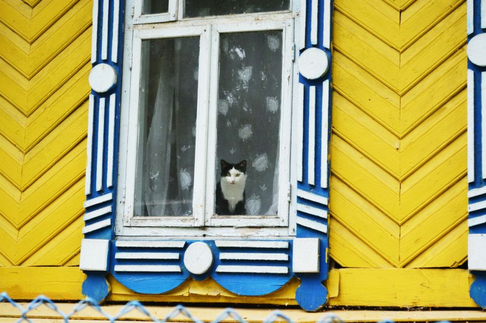 Photograph by Ксения Лебедева