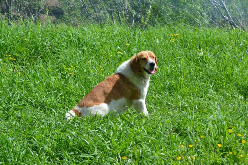 Photograph by Ксения Лебедева