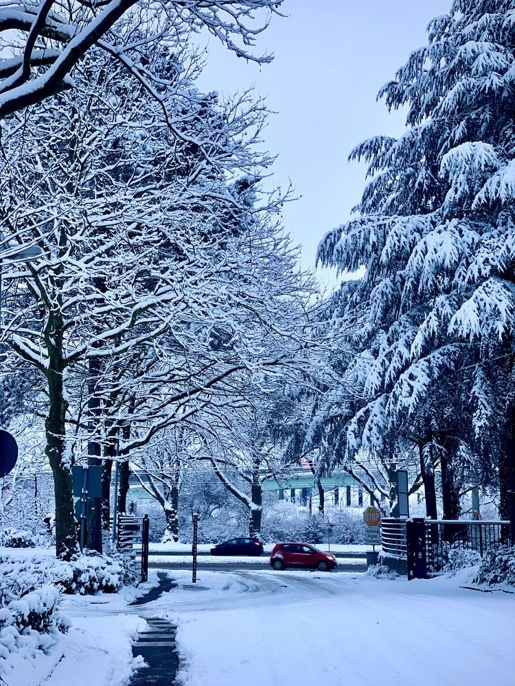 Photograph by Анастасия Мангольд