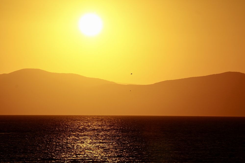 Фотография автора Liudmila Kiermeier