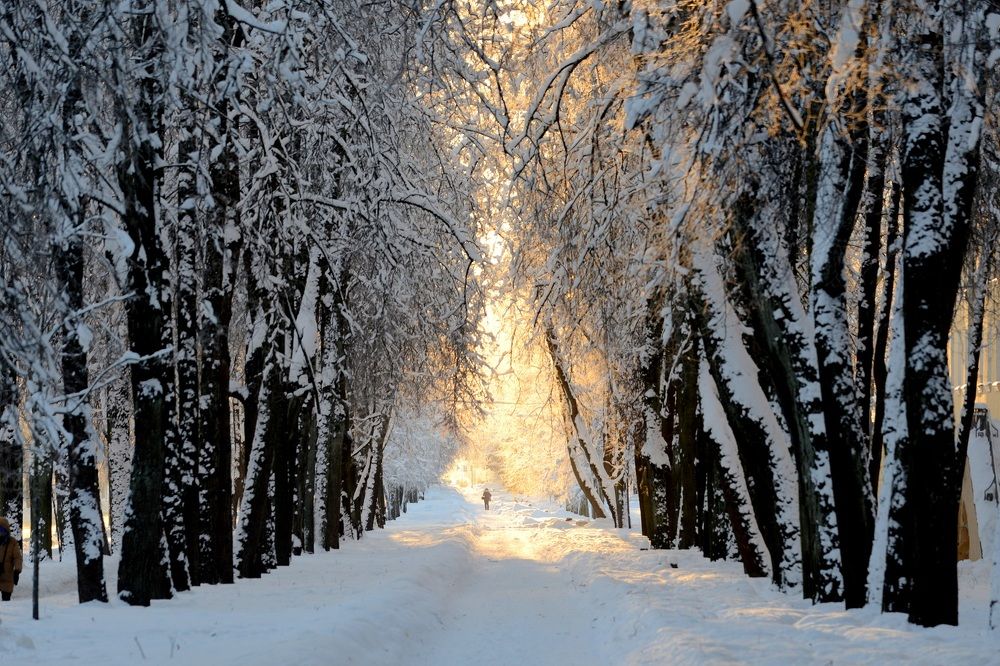 Photograph by Mikhail Novikov