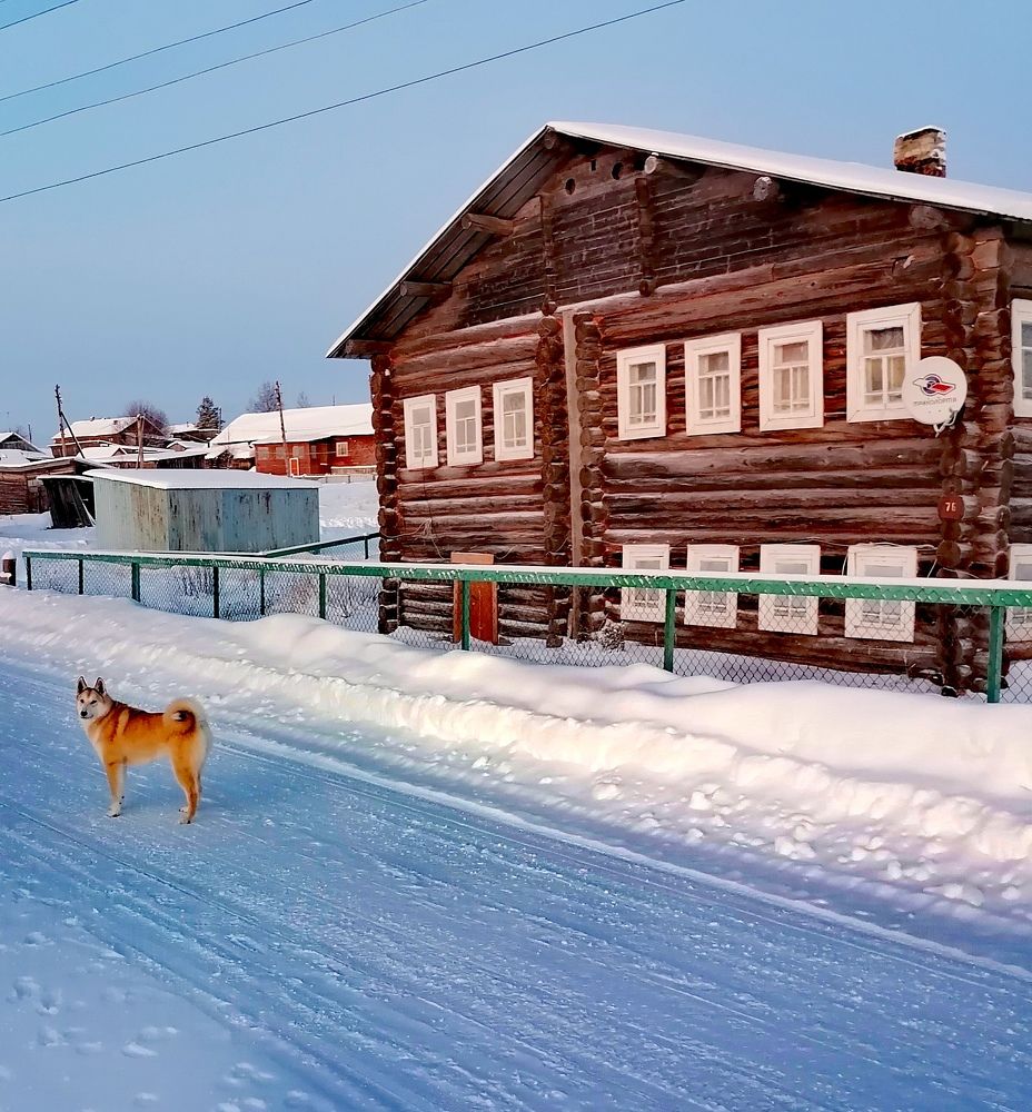 Photograph by Татьяна Бешенкина