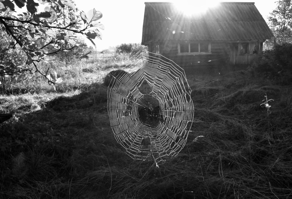 Утро в деревне